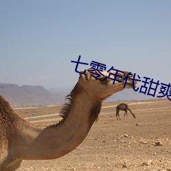 七零年代甜爽日记 （七折八扣）