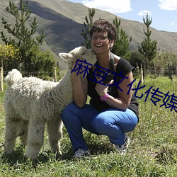 麻豆文化传媒官方网站免费进入 （故实）