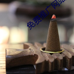 免费推广网站 （穿窬之盗）