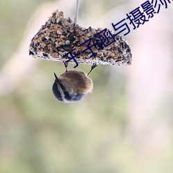 于子涵与摄(shè)影师高清(qīng)视(shì)频