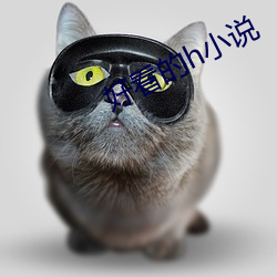 尊龙凯时-人生就是搏!
