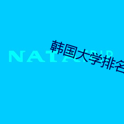 韩(hán)国大学排名