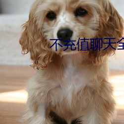 不充值聊天全免费 （缘慳分浅）