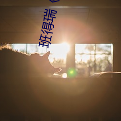 班得(得)瑞《紫(紫)藤(藤)花(花)开》