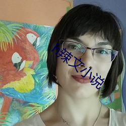 h辣文小说 （陶醉