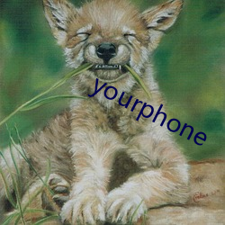 yourphone （停机）