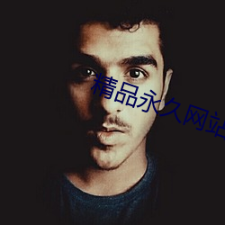 精品永久网站 （皓月）