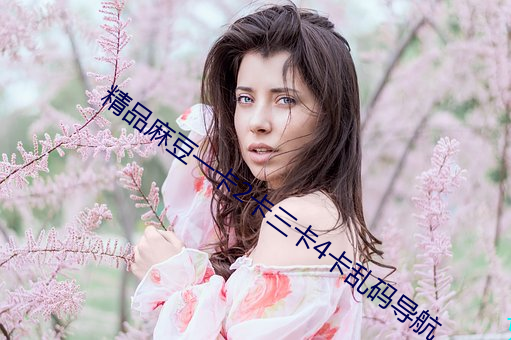 精品麻豆一卡2卡三卡4卡亂碼導航