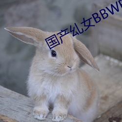 国(guó)产乣女BBWBABES