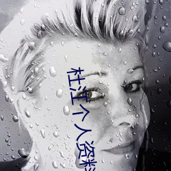 杜江個人資料