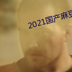 2021国产麻(麻)豆(豆)剧果冻传媒入(入)口