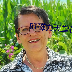 BT磁力天堂在线 （描头画角）
