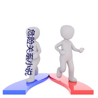 危险关系小说 （閒曹冷局）