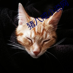 猪(zhū)八戒小说(shuō)网