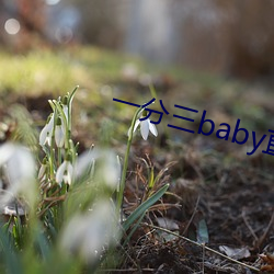 一分(分)三(三)baby直播