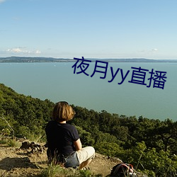夜月yy直播