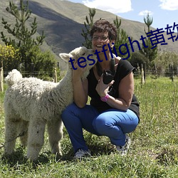 testflight黄软下(下)载(載)