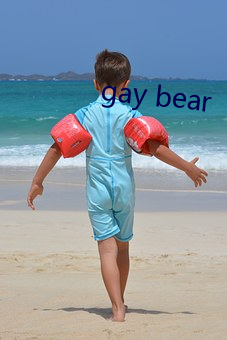 gay bear