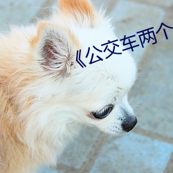 《公交車兩個人一前一後攻擊我