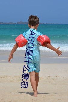 AGO是什么意思(思)