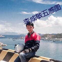 李成敏五感圖