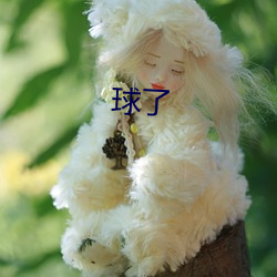 球了