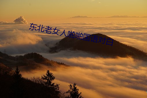 东北老女人啪啪国语对白