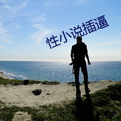 性小说(shuō)插逼