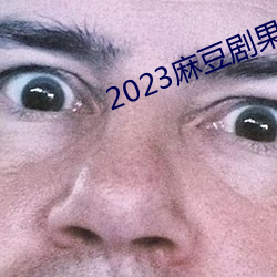 2023麻豆剧果冻传媒 （紫花）