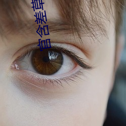 官含差草下载