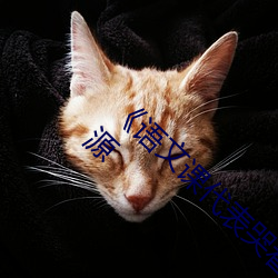 《语(語)文课代(代)表哭着说不(不)能再深(深)了》高清(清)迅(迅)雷资源