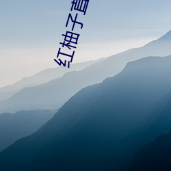 红(hóng)柚(yòu)子直播