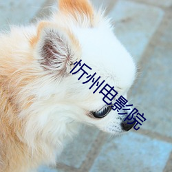 忻州电影院