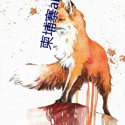 柬埔寨aba回去中国可以(yǐ)用(yòng)吗