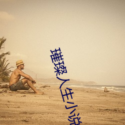 璀璨人生小(xiǎo)说秦雪免(miǎn)费阅读