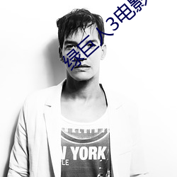 绿巨人3电影完整版中语 （监察）