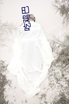 吃(吃)鸡巴