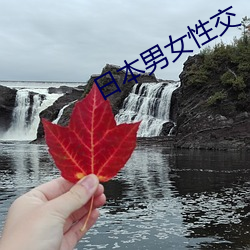 日本男(男)女(女)性交(交)