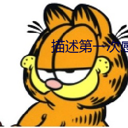 描述第一次感覺的句子