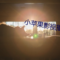 小苹果影视播放不了