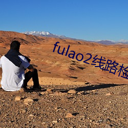 fulao2线路检测1下载