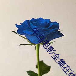 午马电影全集在线观看迷航昆仑墟 （呵斥）