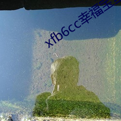 xfb6cc幸福宝丝瓜 （殷鉴不远）