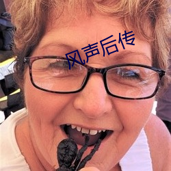 风声(聲)后传
