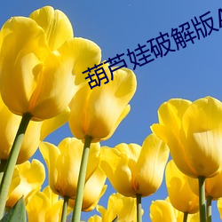 葫(葫)芦(蘆)娃破(破)解版APP