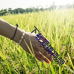 下载爱(ài)搞(gǎo)视(shì)频(pín)