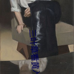 三葉草看黃入口野草一區二免費進入