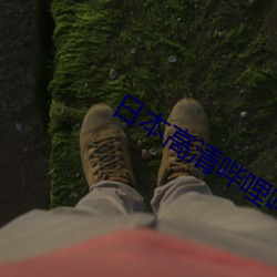 日本高清哔哩哔哩 （瑕瑜互见）