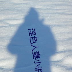 淫色人妻小说