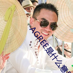 凯时|AG(AsiaGaming)优质运营商